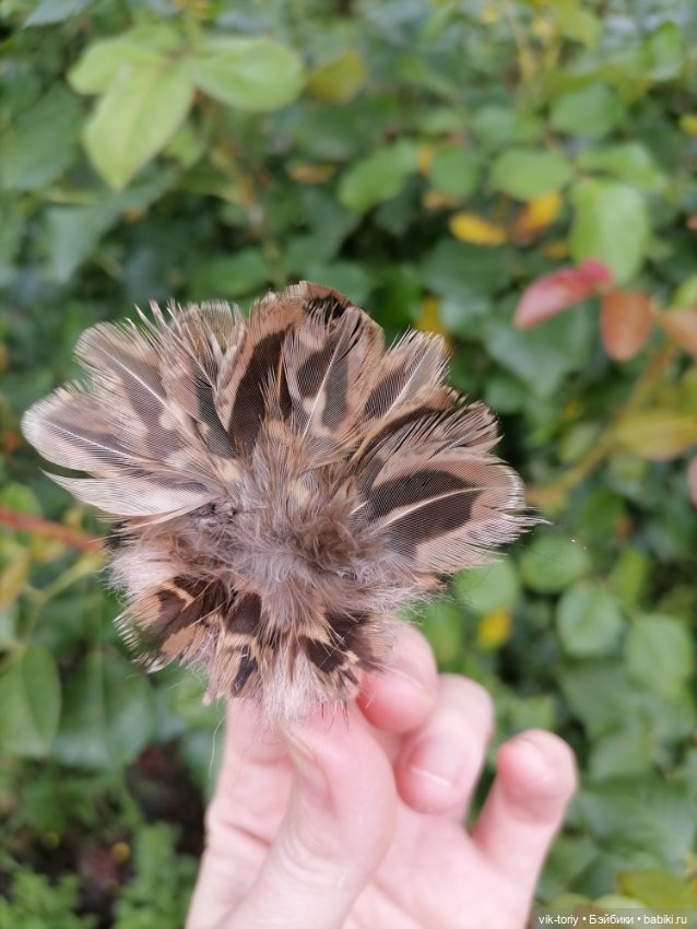 Птичий переполох Часть четвёртая Индюки