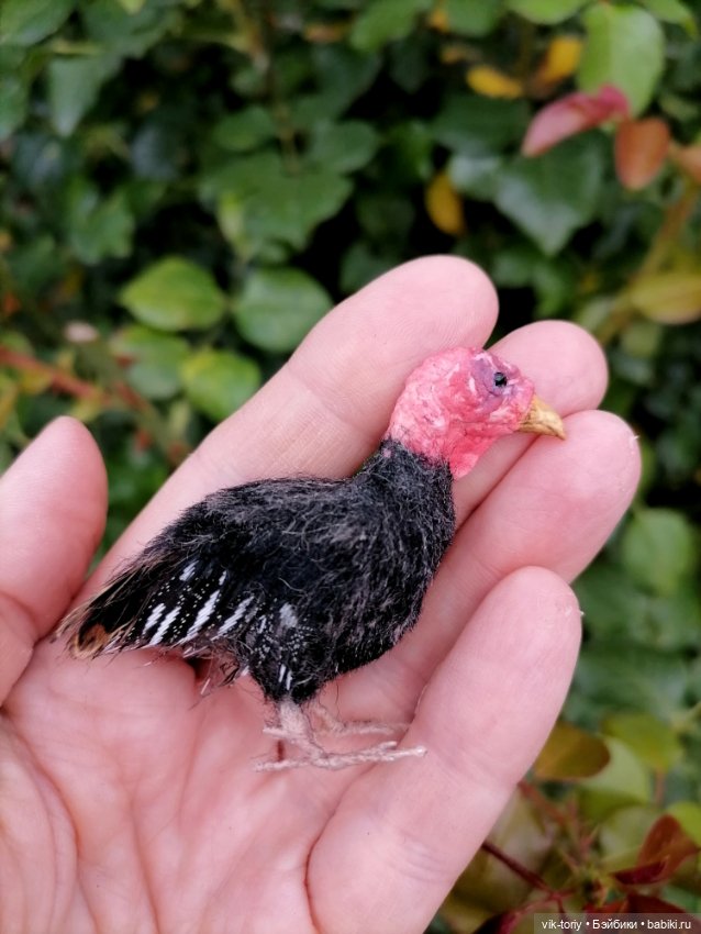 Птичий переполох Часть четвёртая Индюки