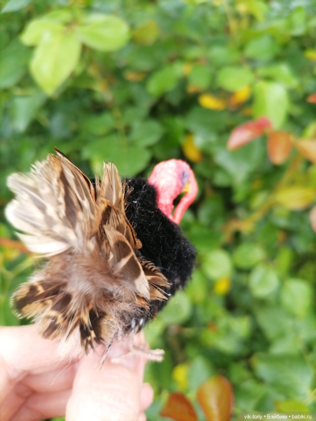 Птичий переполох Часть четвёртая Индюки