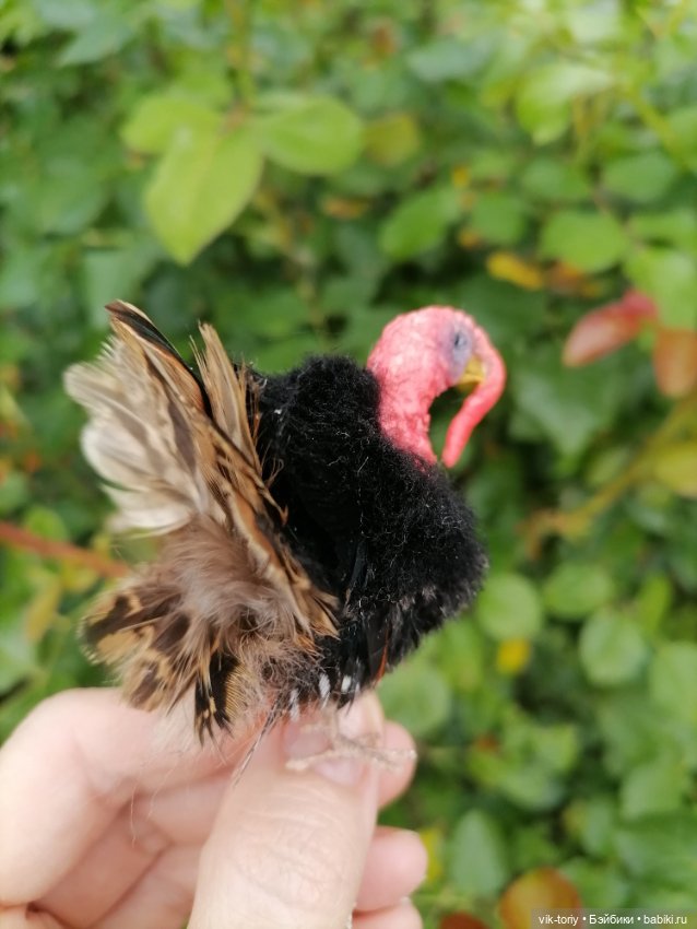 Птичий переполох Часть четвёртая Индюки