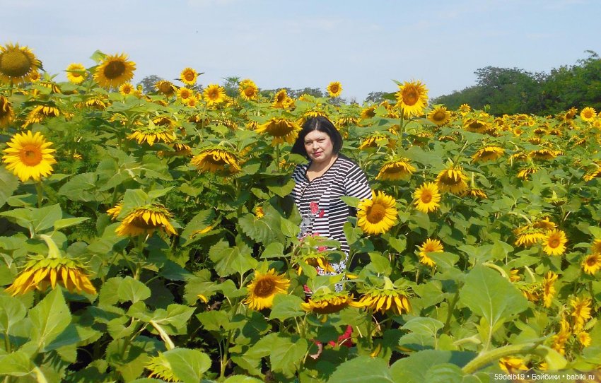Золотой подсолнушек — Одежда и обувь для кукол своими руками: фото
