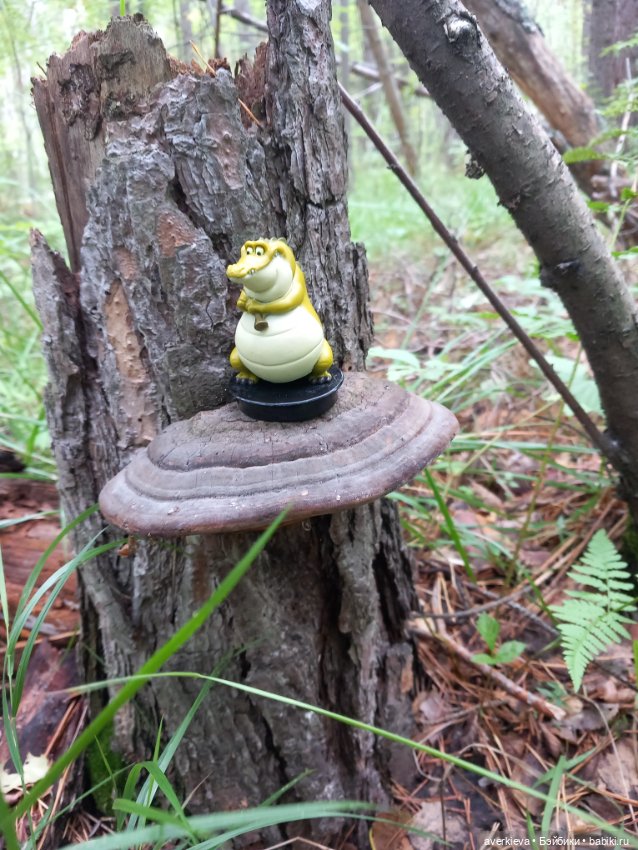 По лесу проходила такая крокодила