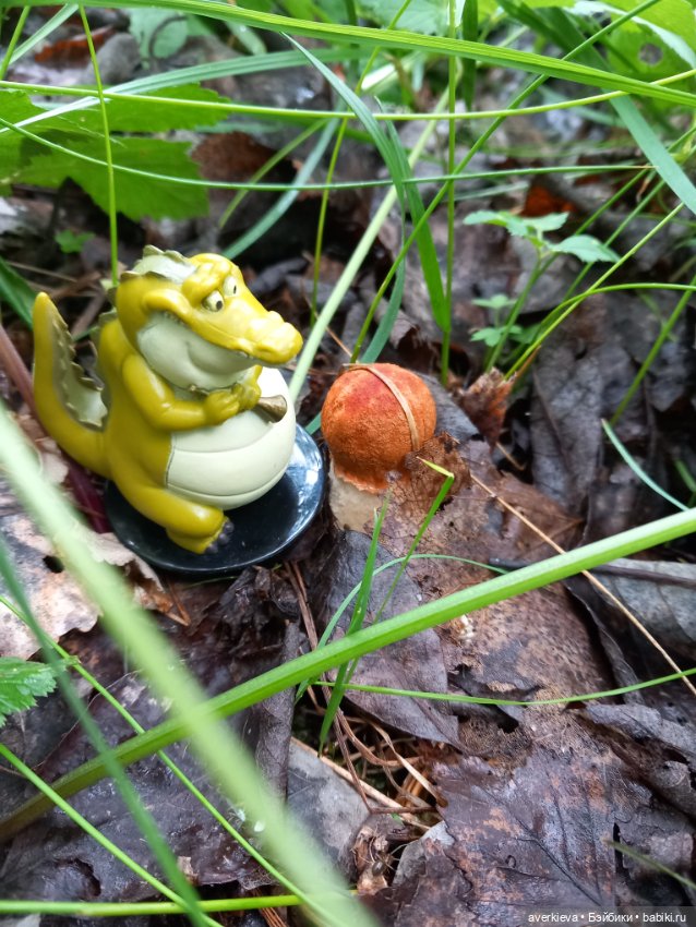 По лесу проходила такая крокодила