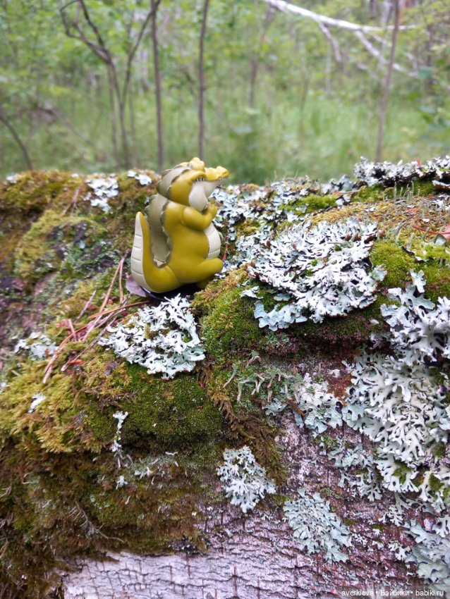 По лесу проходила такая крокодила