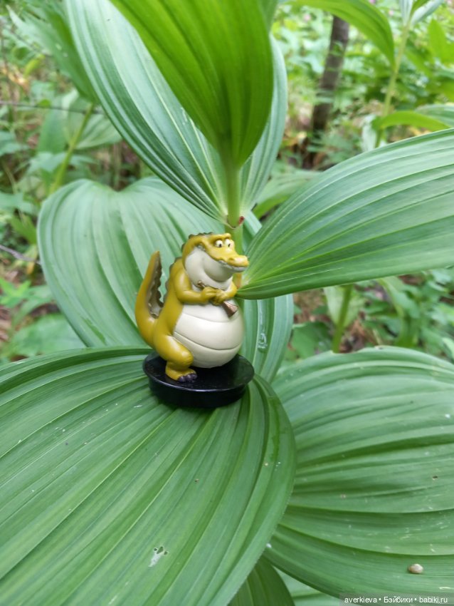 По лесу проходила такая крокодила (фото 8)