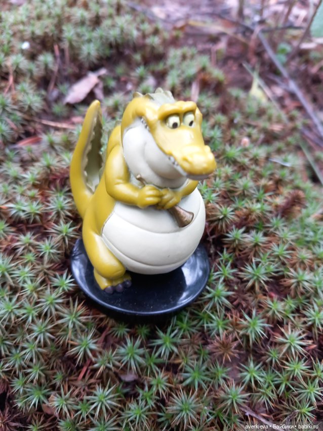 По лесу проходила такая крокодила (фото 5)