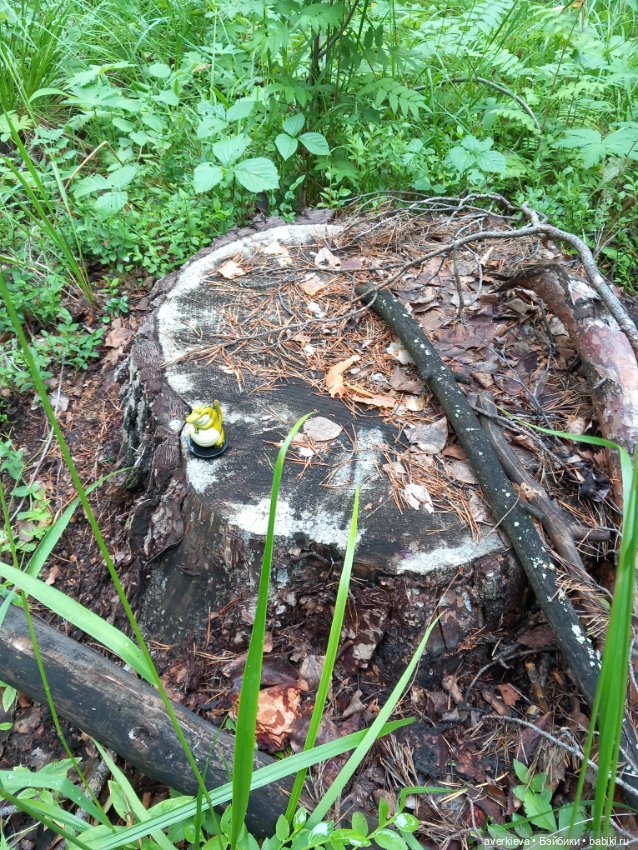 По лесу проходила такая крокодила