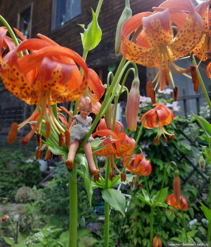 Почти дюймовочка💖🥰 — Винтажные куклы ГДР (Немки): Бигги