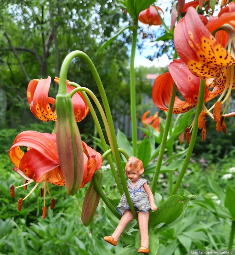 Почти дюймовочка💖🥰 — Винтажные куклы ГДР (Немки): Бигги