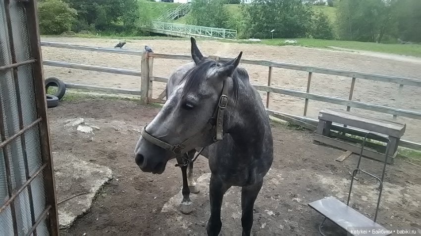 Наши наши персонажи — Интересные игрушки и фигурки (разное): редкие