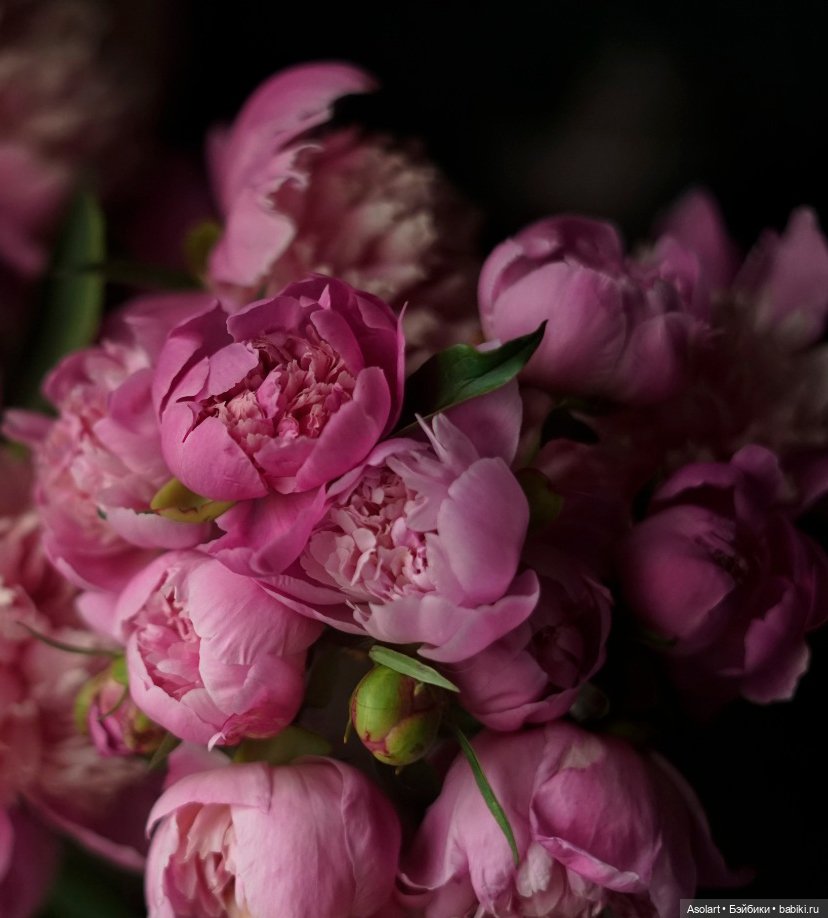 Наш пионовый июнь — Авторские фарфоровые куклы (OOAK): ручная работа