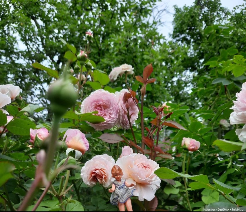 Почти дюймовочка💖🥰 — Винтажные куклы ГДР (Немки): Бигги