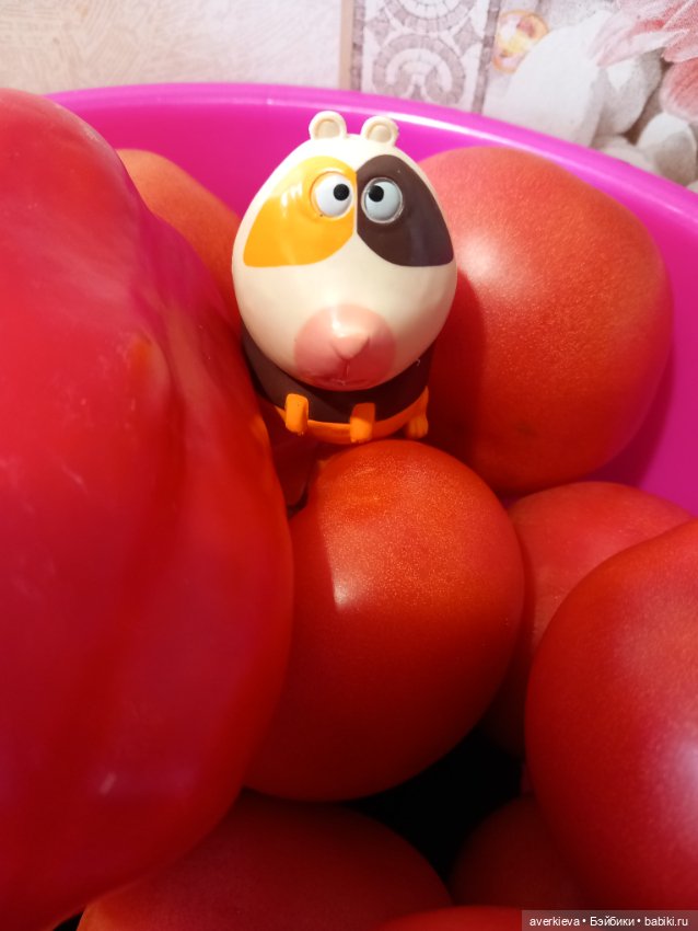 Хомяк и жаба — Интересные игрушки и фигурки (разное): редкие (фото 3)