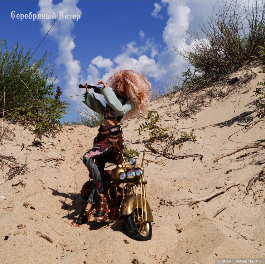 Скрипичная симфония в стиле стимпанк (фото 5)