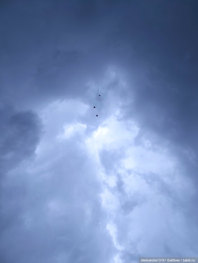 На закате и в сумерках...или помогите определиться с именем малой🐱