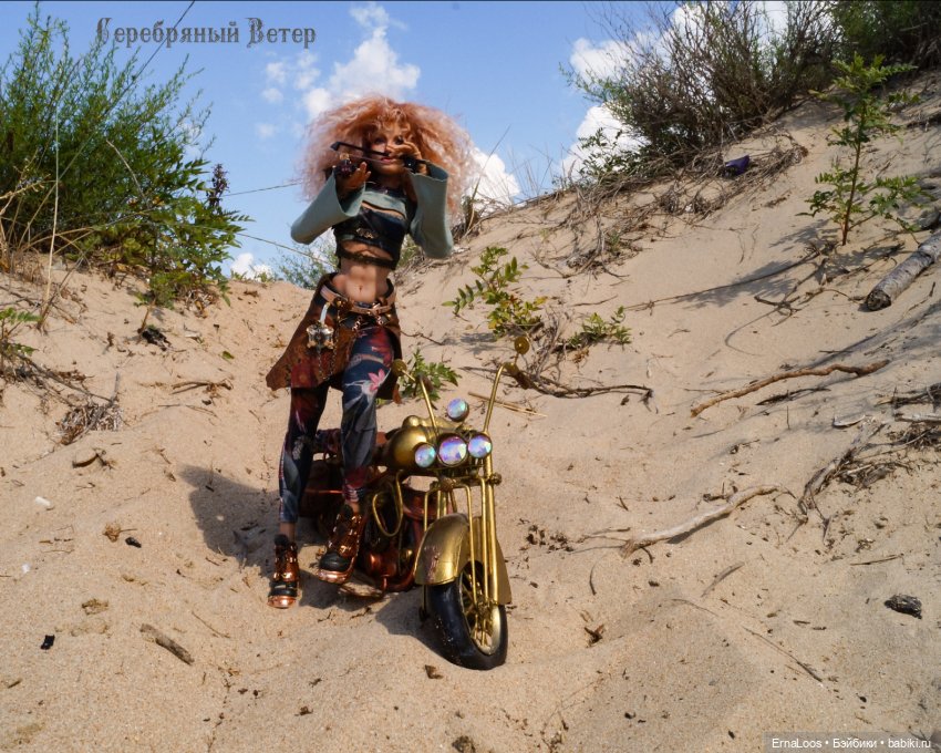 Скрипичная симфония в стиле стимпанк (фото 4)