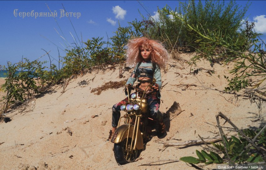 Скрипичная симфония в стиле стимпанк (фото 2)