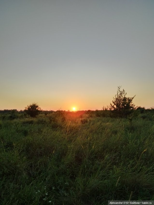 На закате и в сумерках...или помогите определиться с именем малой🐱