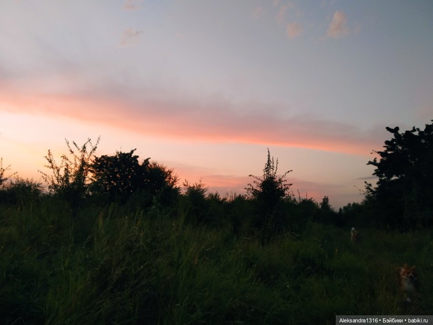 На закате и в сумерках...или помогите определиться с именем малой🐱