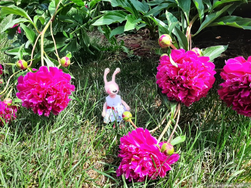 Улитка Лидка — Вязаные игрушки и амигуруми: крючком (фото 4)