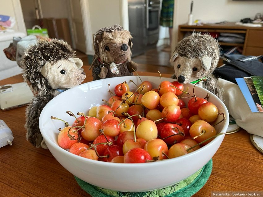 Fashion Dolls 520 — Туризм и путешествия: фотоотчеты из поездок