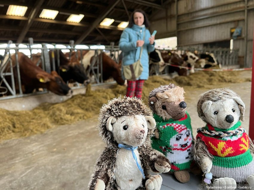 Fashion Dolls 520 — Туризм и путешествия: фотоотчеты из поездок