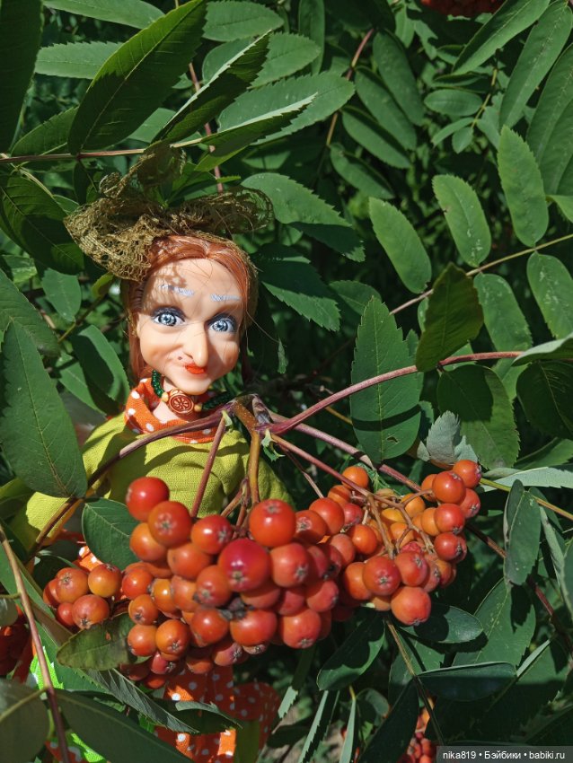 Средних лет Ягуся — Болталка и разговоры обо всем: жизнь (фото 5)