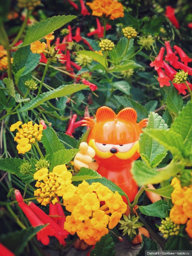 Солнце, лето, море, Mamachapp