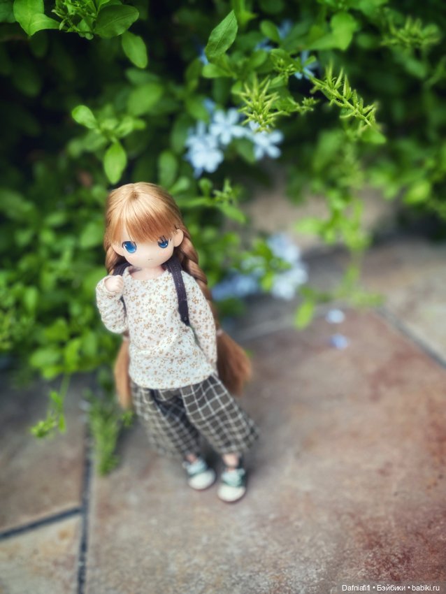 Солнце, лето, море, Mamachapp