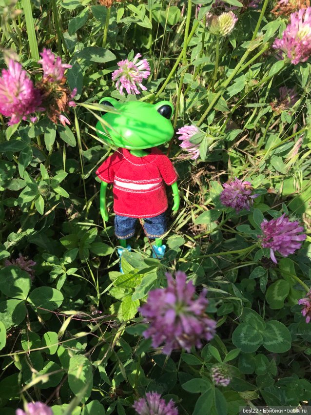 Лягух MAKS — Игровые куклы разных производителей (Разное): редкие бренды