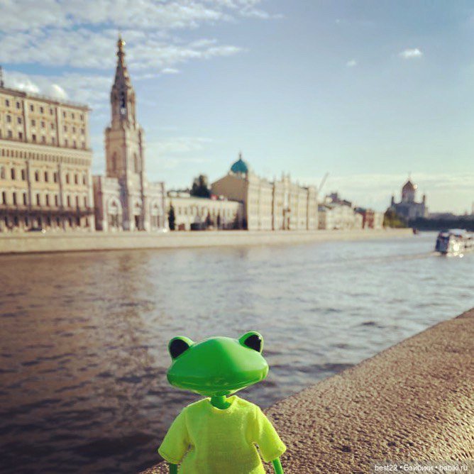 Лягух MAKS — Игровые куклы разных производителей (Разное): редкие бренды (фото 3)