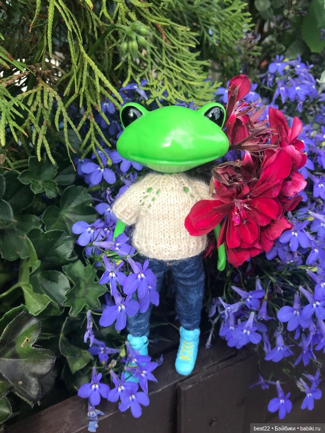 Лягух MAKS — Игровые куклы разных производителей (Разное): редкие бренды (фото 9)