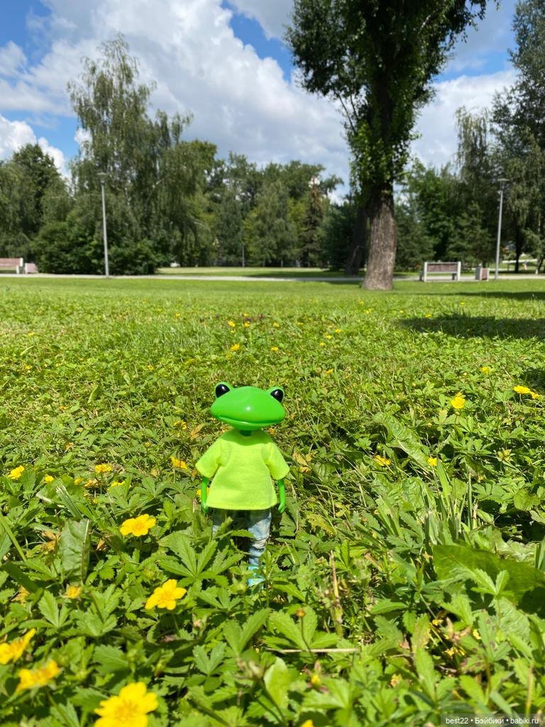 Лягух MAKS — Игровые куклы разных производителей (Разное): редкие бренды (фото 2)