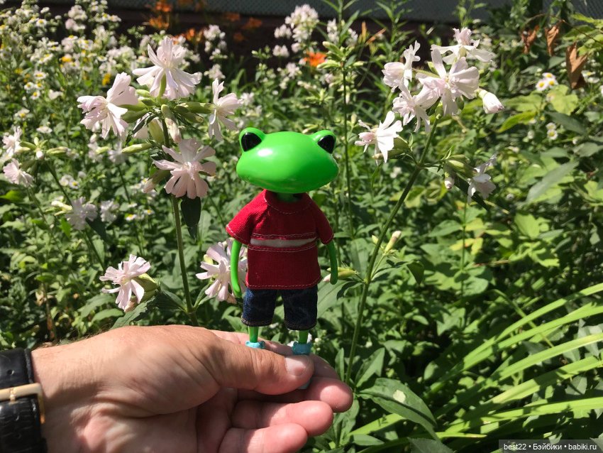 Лягух MAKS — Игровые куклы разных производителей (Разное): редкие бренды