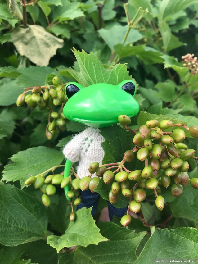 Лягух MAKS — Игровые куклы разных производителей (Разное): редкие бренды (фото 10)