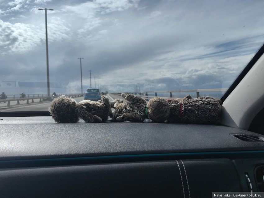 Fashion Dolls 521 — Туризм и путешествия: фотоотчеты из поездок (фото 7)