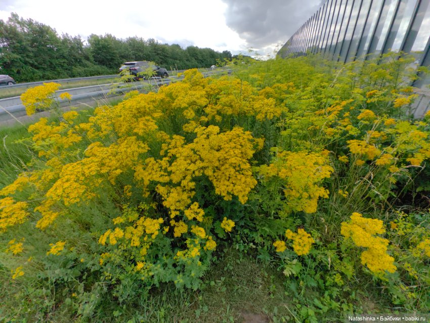 Fashion Dolls 521 — Туризм и путешествия: фотоотчеты из поездок