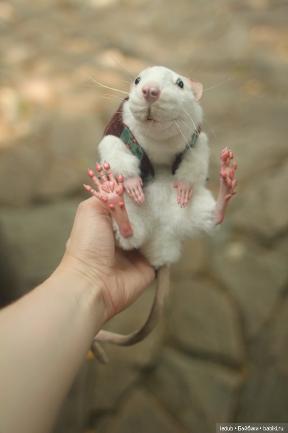 Его крысейшество — Игрушки в смешанной технике (мех и глина): Арт (фото 2)