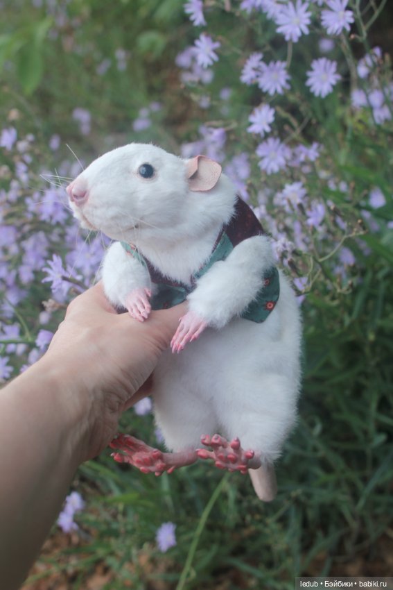 Его крысейшество — Игрушки в смешанной технике (мех и глина): Арт