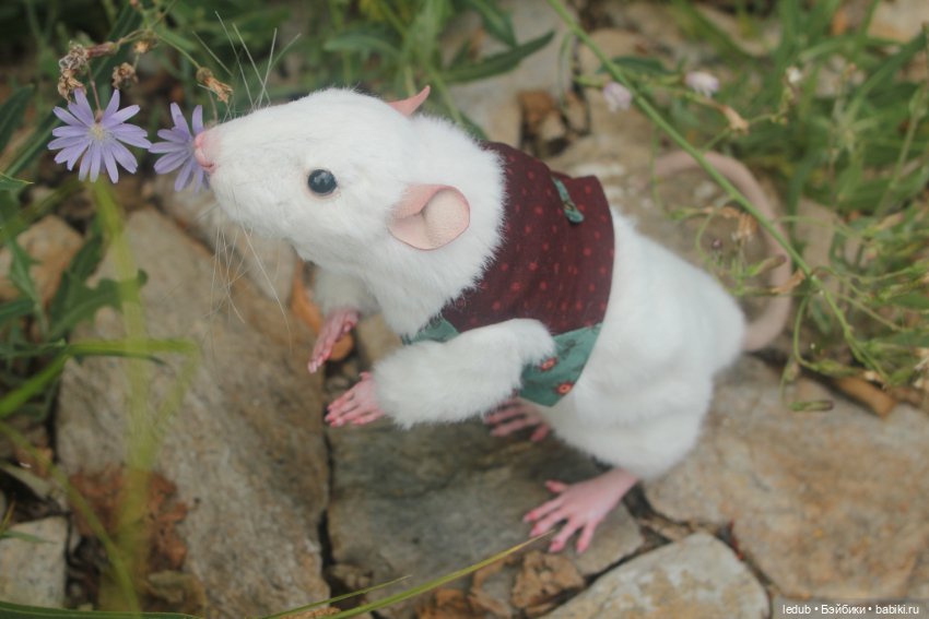 Его крысейшество — Игрушки в смешанной технике (мех и глина): Арт