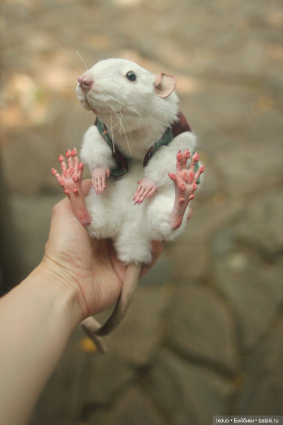 Его крысейшество — Игрушки в смешанной технике (мех и глина): Арт (фото 4)