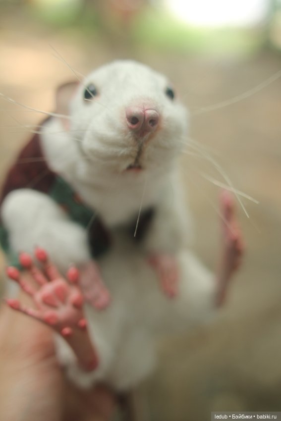 Его крысейшество — Игрушки в смешанной технике (мех и глина): Арт