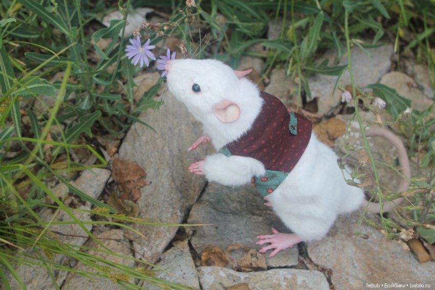 Его крысейшество — Игрушки в смешанной технике (мех и глина): Арт