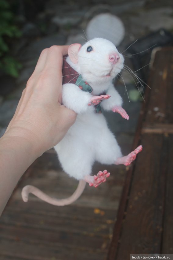 Его крысейшество — Игрушки в смешанной технике (мех и глина): Арт