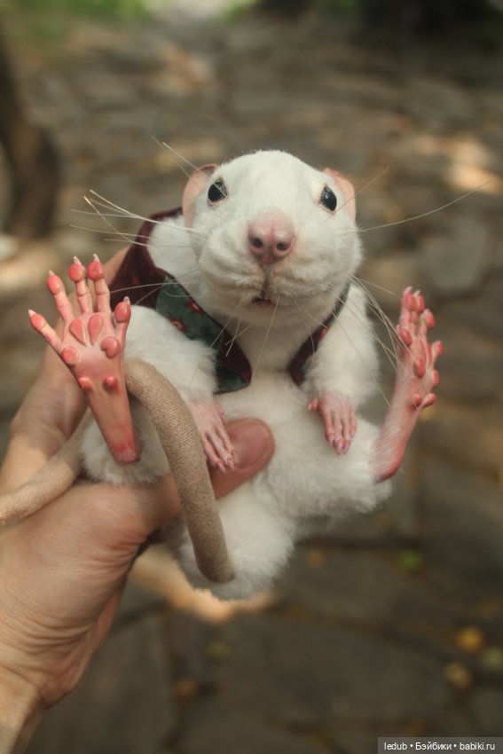 Его крысейшество — Игрушки в смешанной технике (мех и глина): Арт (фото 5)