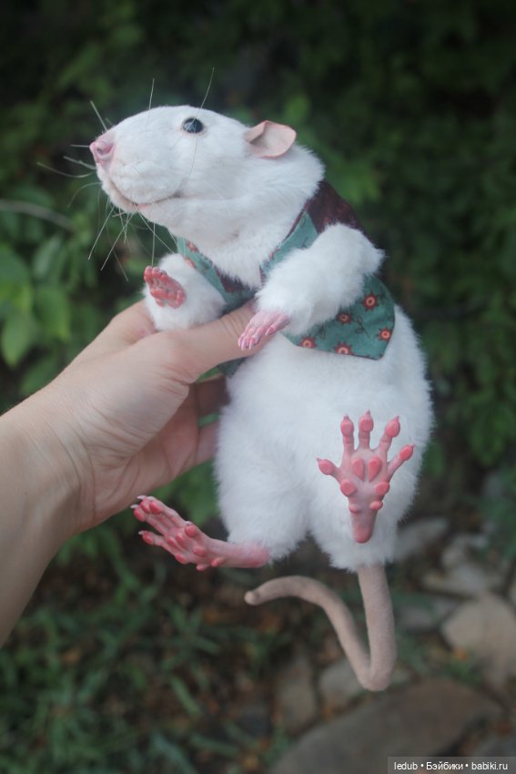 Его крысейшество — Игрушки в смешанной технике (мех и глина): Арт