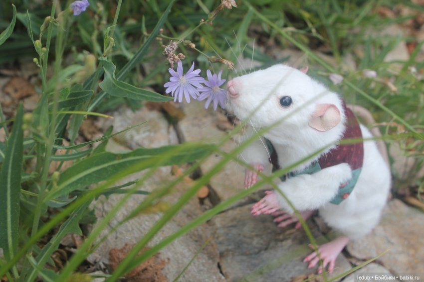 Его крысейшество — Игрушки в смешанной технике (мех и глина): Арт