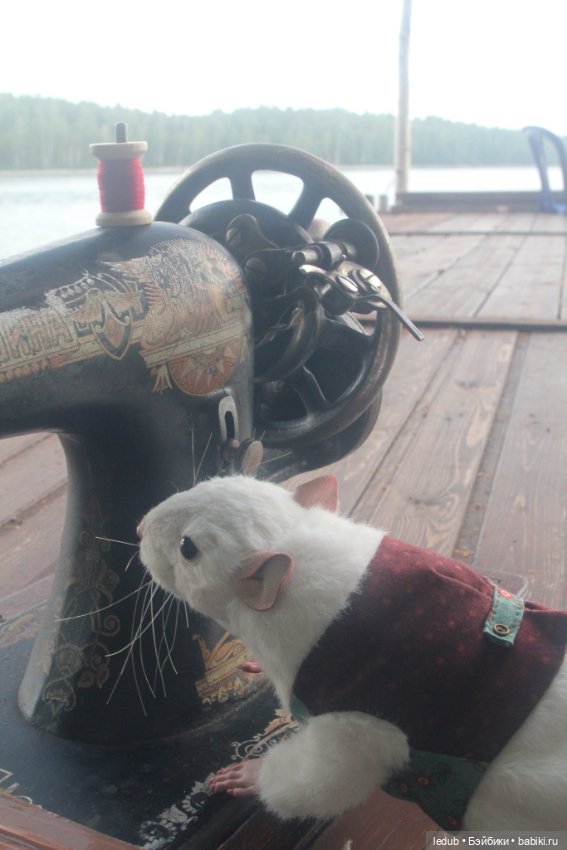 Его крысейшество — Игрушки в смешанной технике (мех и глина): Арт (фото 6)