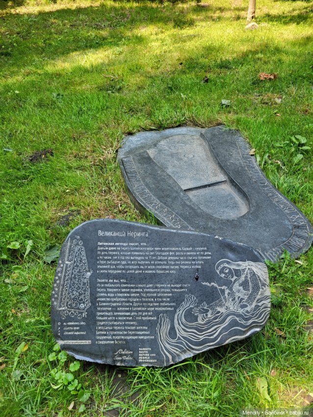 Полёт альбатроса, в смысле, чайки