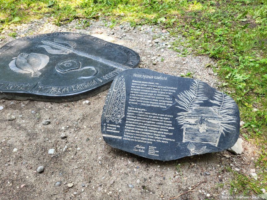 Полёт альбатроса, в смысле, чайки